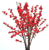 Ilex Bouquet