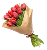 Τουλίπες Κόκκινες - Tulipa