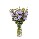 Λυσίανθος '' Λιλά ''