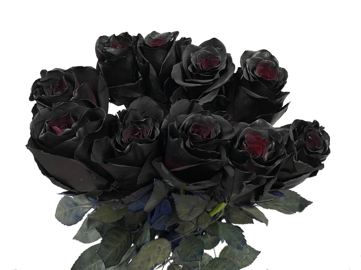 Βlack  rose - Μαύρο τριαντάφυλλο