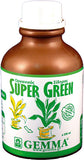 Λίπασμα Gemma Super Green Χηλικός Σίδηρος Υγρός 50gr
