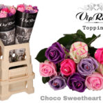 Τριαντάφυλλο - Rose Choco Sweetheart Mix