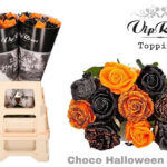 Τριαντάφυλλο - Rose Choco Halloween Mix