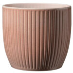 Belice Delight Χρώμα Peach