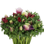 Ανεμώνες mix