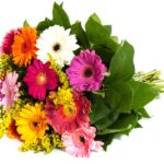 Μπουκέτο Ζέρμπερες