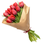 Τουλίπες Κόκκινες - Tulipa