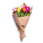 Τουλίπες - Tulipa mix