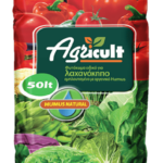 Λαχανόκηπος