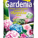 Gardenia - Καστανόχωμα