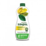 Υγρός Σίδηρος Gemma 300 ml