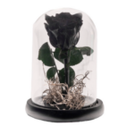 Forever rose black σε γυάλα