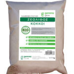 Ζεόλιθος κόκκος