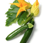 Κολοκύθι ίσιο - Cucurbita pepo