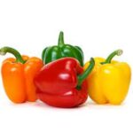 Πιπεριά φλάσκα