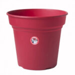 Γλάστρα Πλαστική Micplast Round Νο30