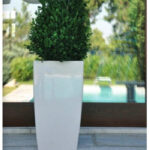 Γλάστρα-Κασπώ Plastona Tetra Brillante